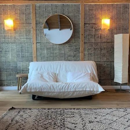 Apartment Pied Des Pistes - Carlines